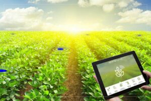 iot agriculture.1140x600